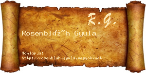 Rosenblüh Gyula névjegykártya